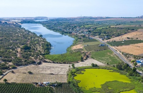 Cần Bán 20.000m2 Đất Mặt Tiền Trục Chính Giá Tốt Nhất Khu Vực Bàu Trắng, Bình Thuận